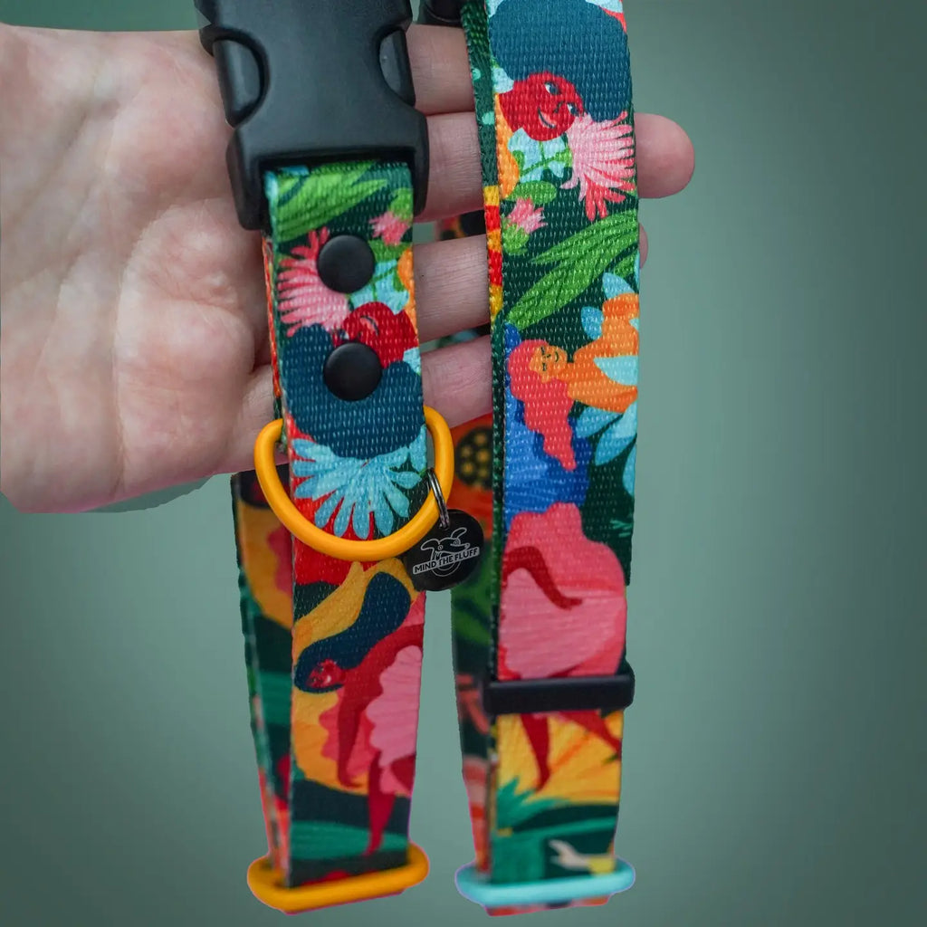 Loud and Proud Dog Collar
