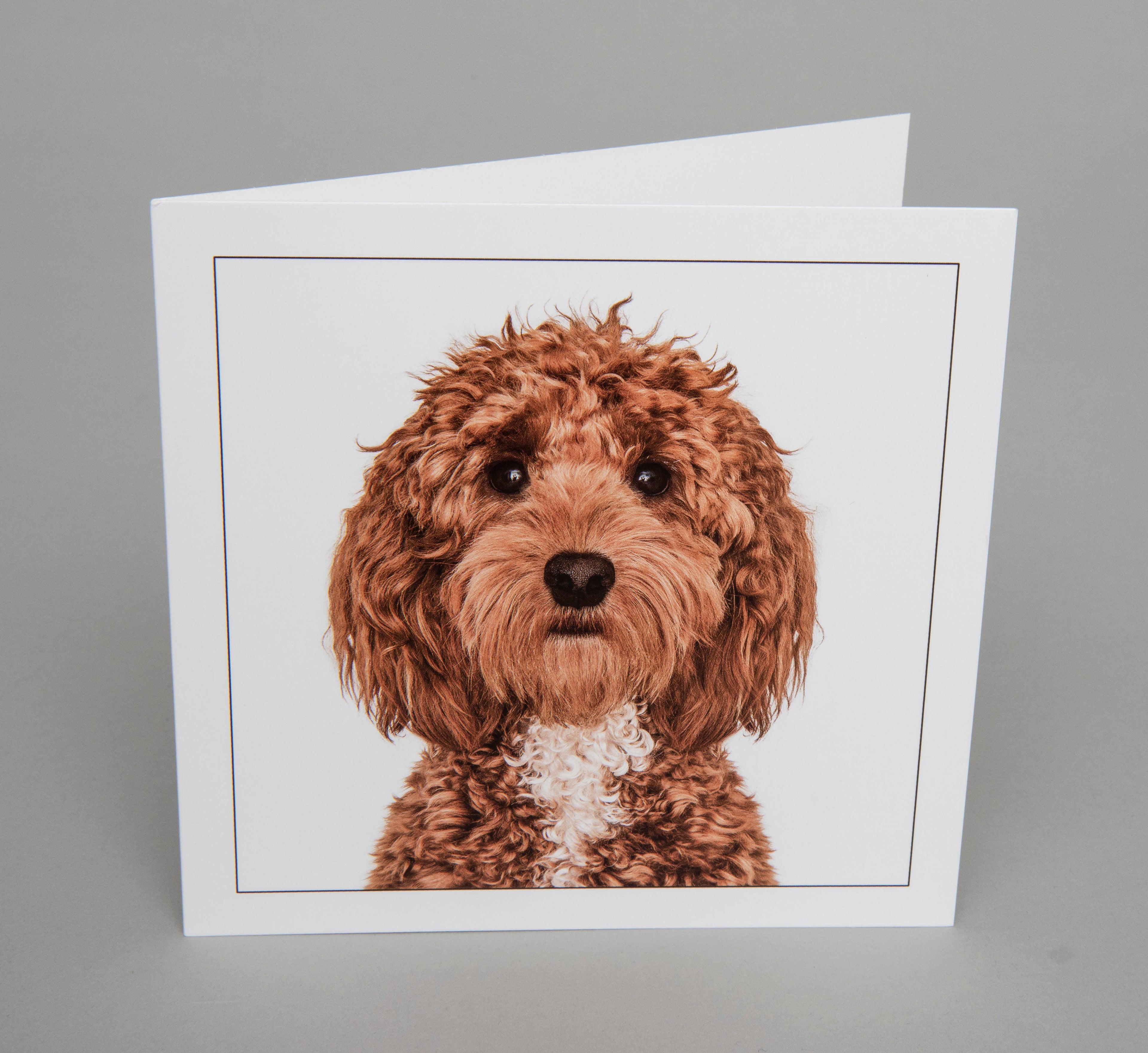 Cockerpoo - Dog Greeting Card
