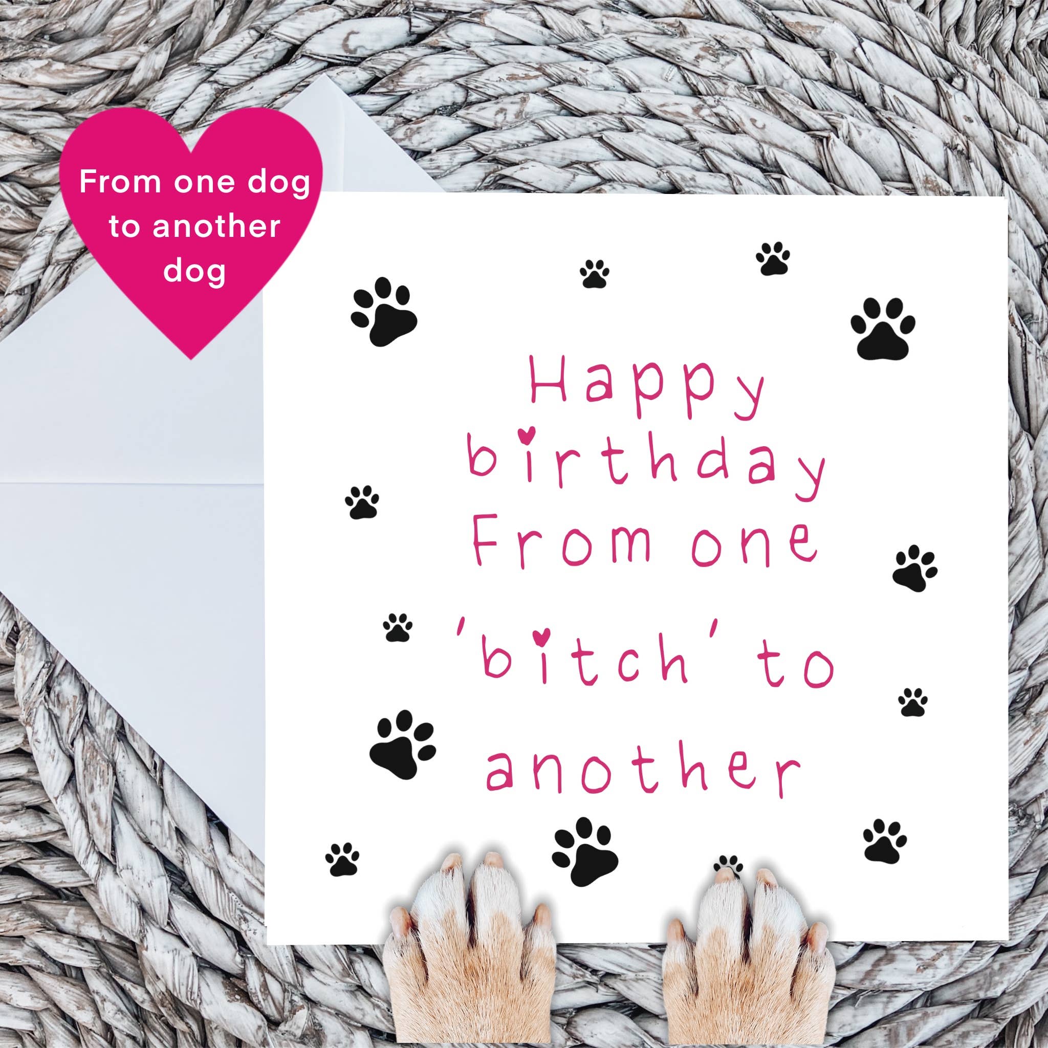 Birthday Card | Rude Humour | From one dog to another 