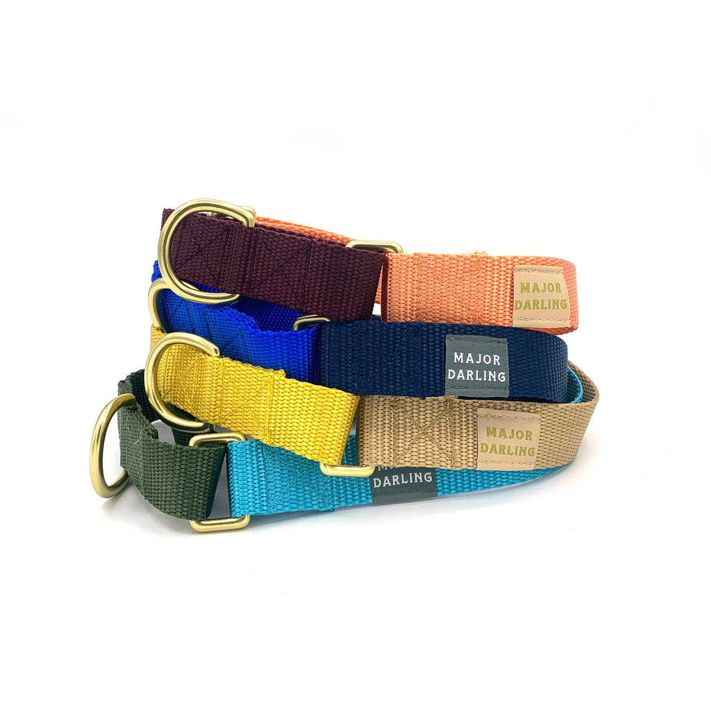 Martingale Collar / Custom Colorway