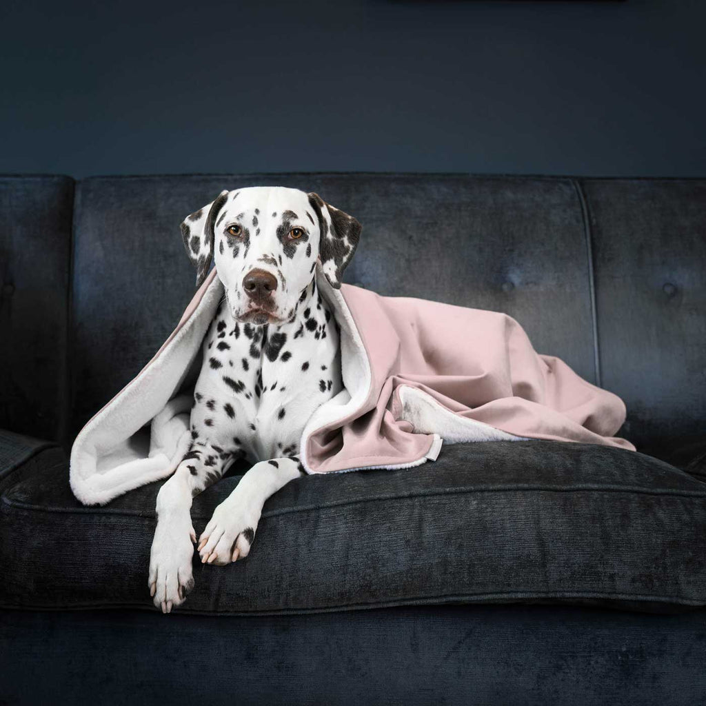 Dog & Puppy Blanket in Blossom Velvet