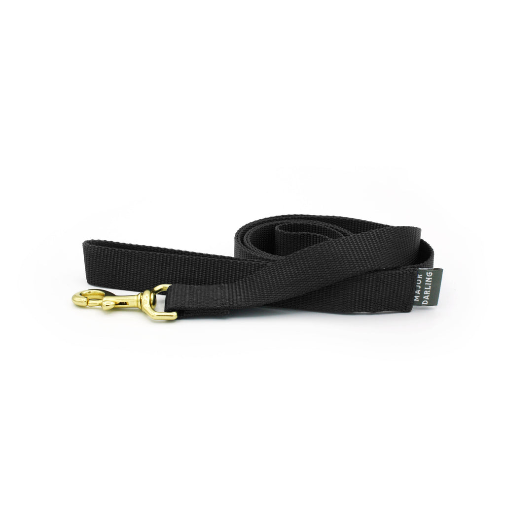 Basic Leash: Red / Standard (1" wide)