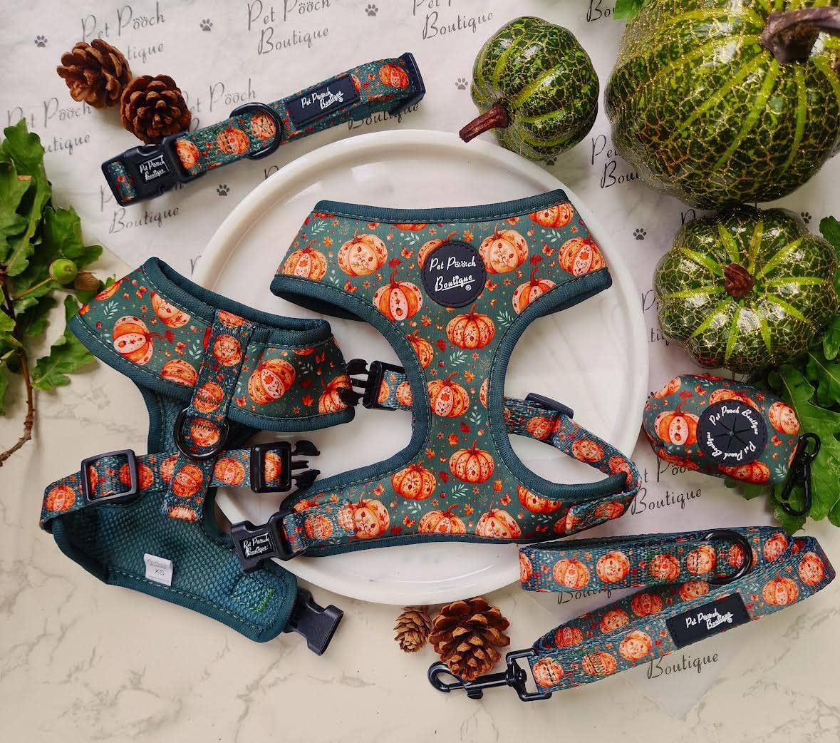 Harvest Pumpkin Patch Dog Collar - Size XS-L (autumn)