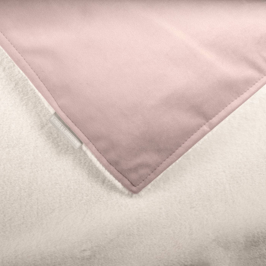 Dog & Puppy Blanket in Blossom Velvet