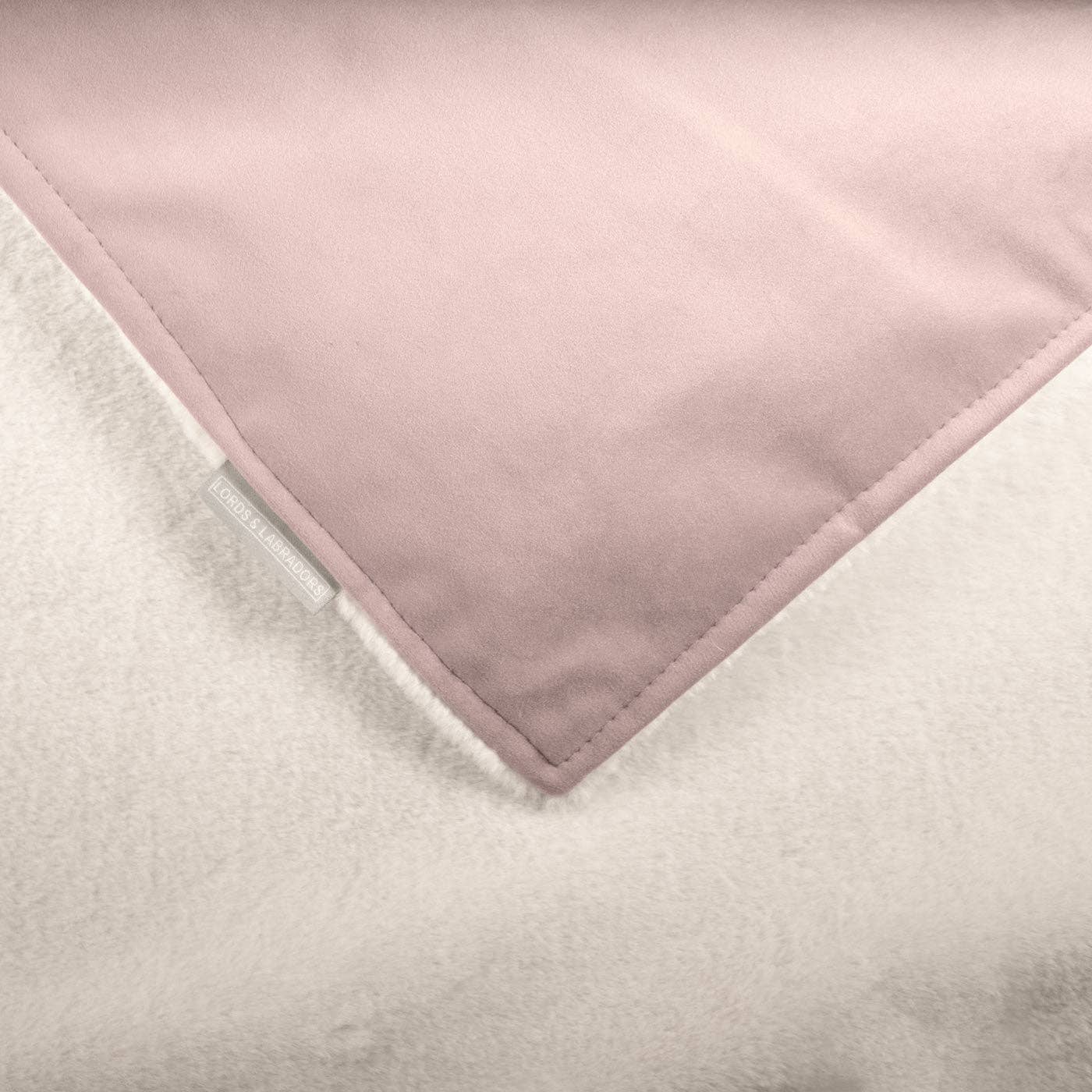 Dog & Puppy Blanket in Blossom Velvet