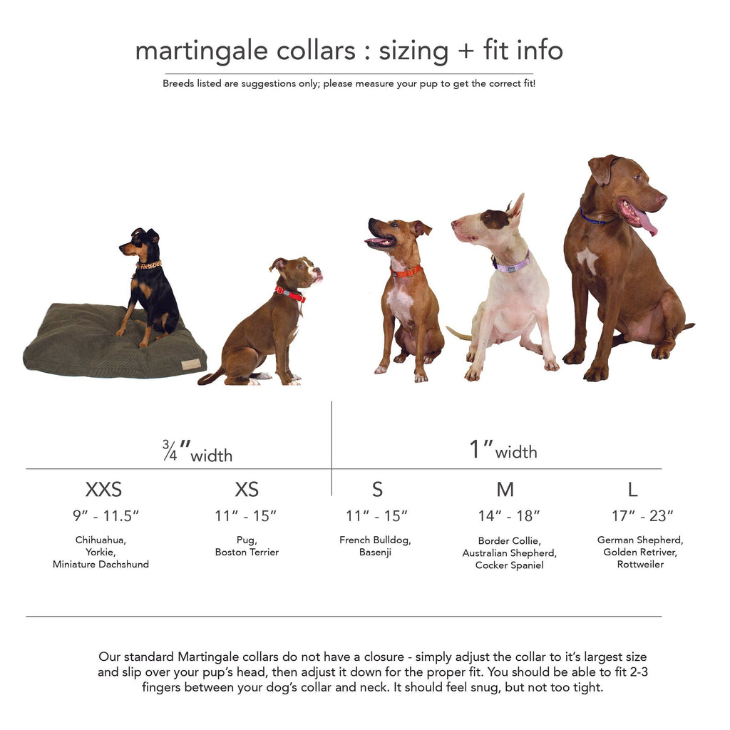 Martingale Collar / Navy + Forest