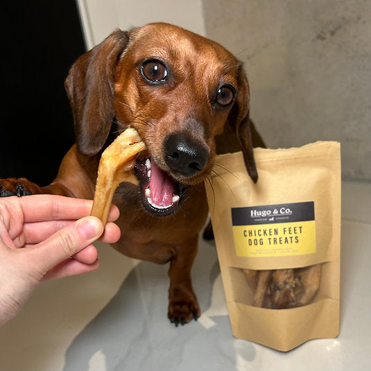 Chicken Feet Dog Treats - 75g