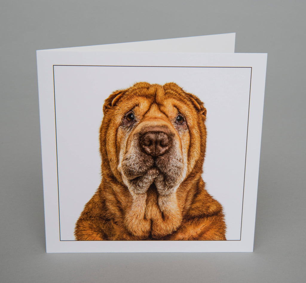 Shar pei - Dog Greeting Card