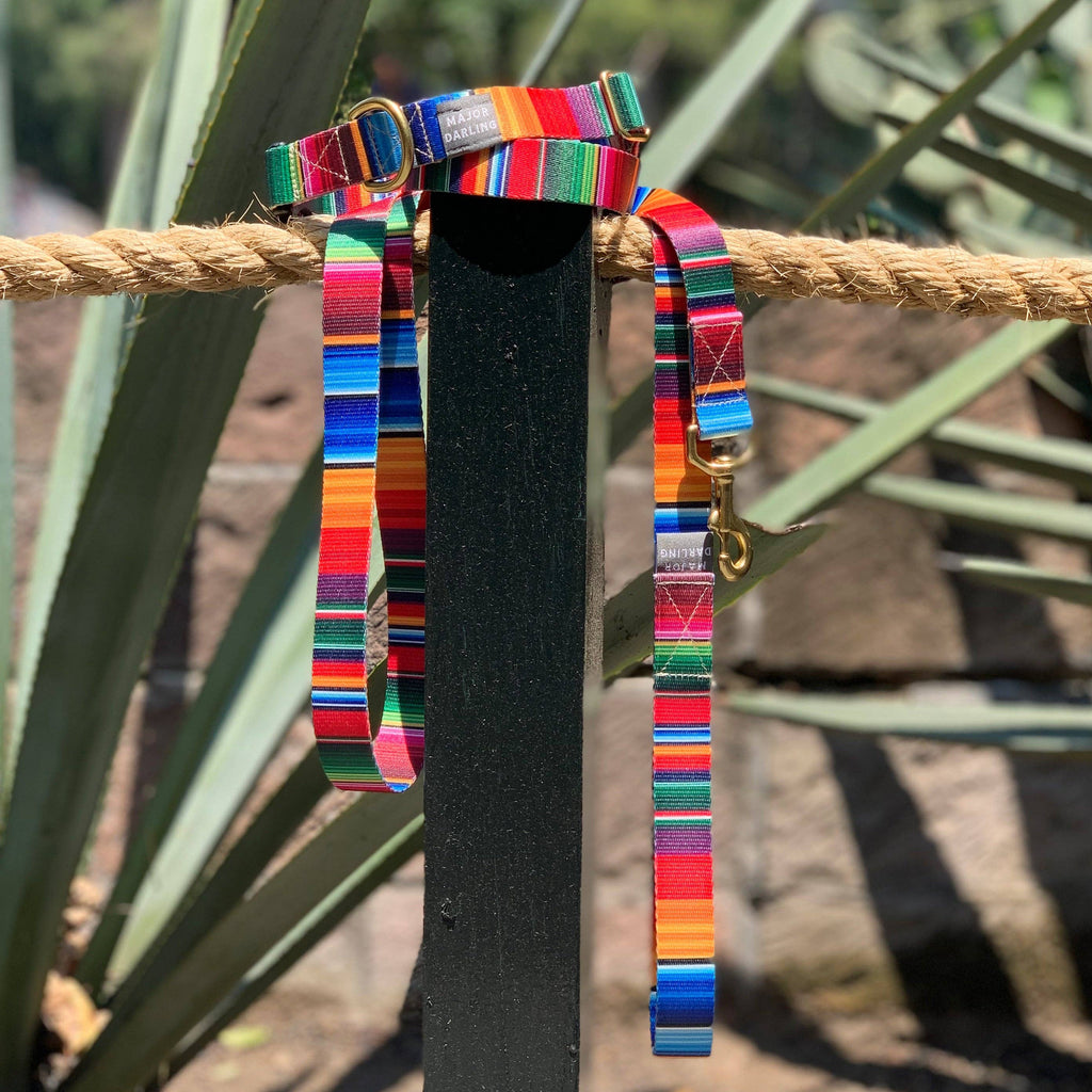 Martingale Collar / Serape + Navy