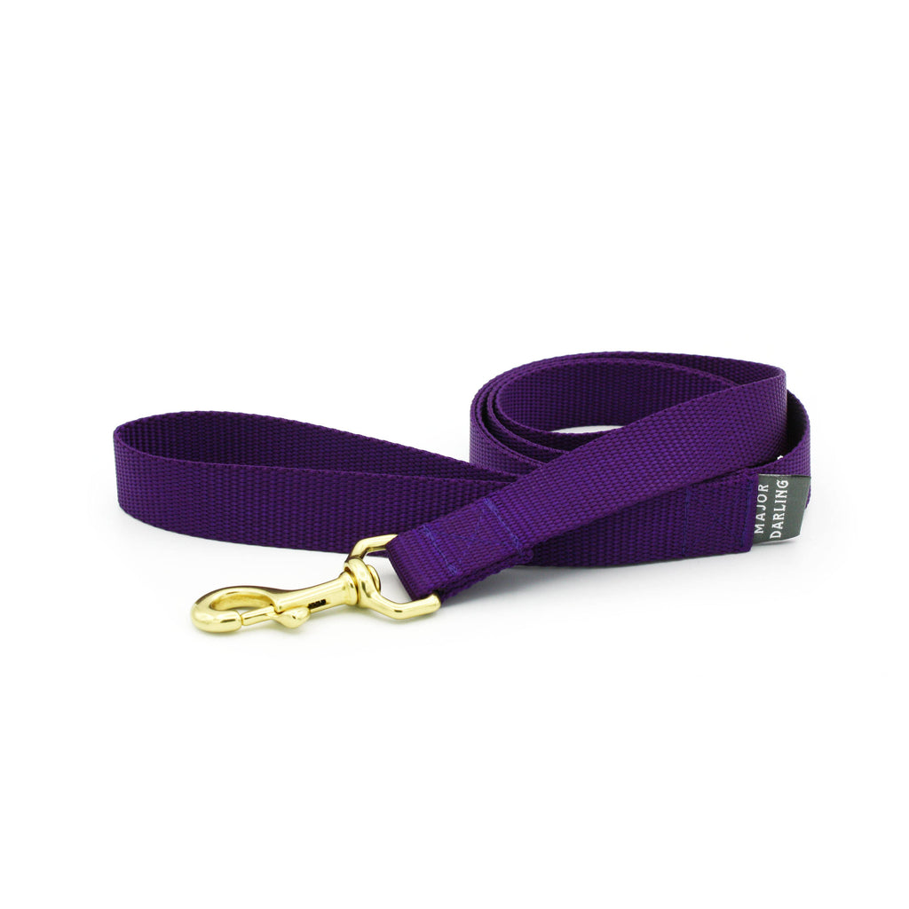 Basic Leash: Red / Standard (1" wide)