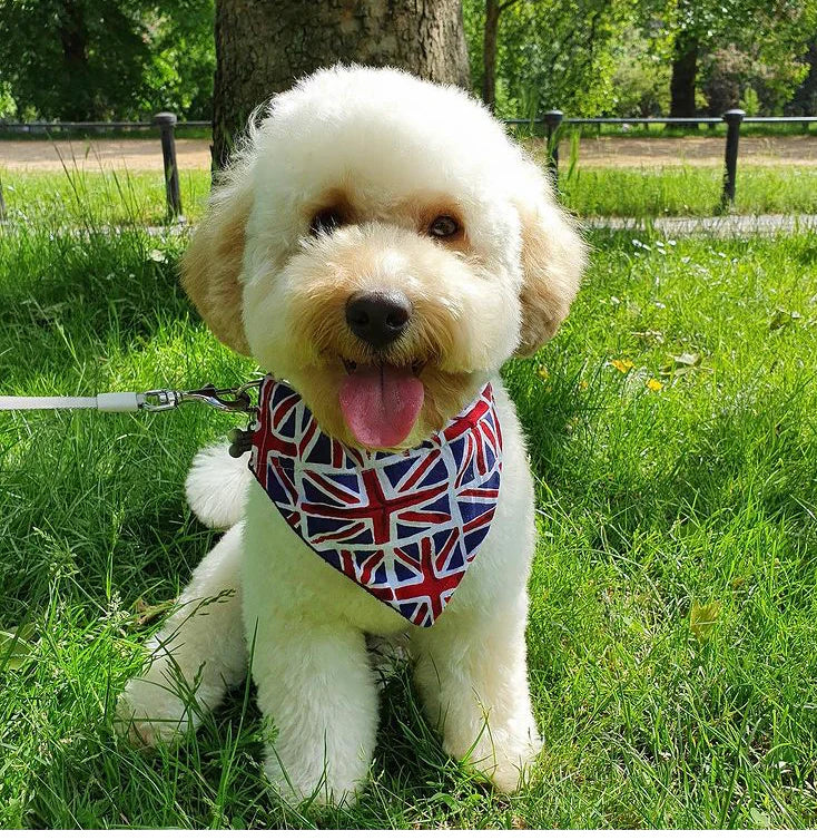 Best of British - Union Jack Bandana