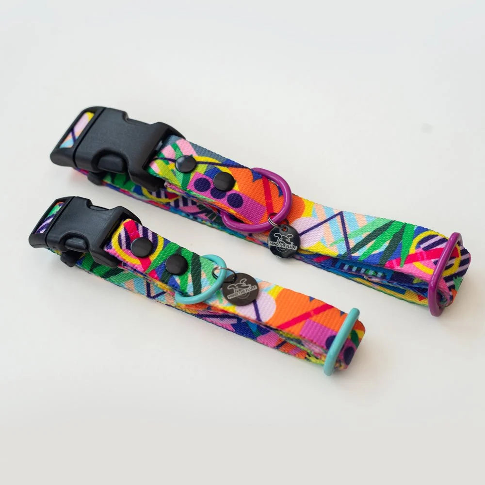 Kaleidogscope Dog Collar
