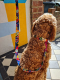 Kaleidogscope Dog Lead