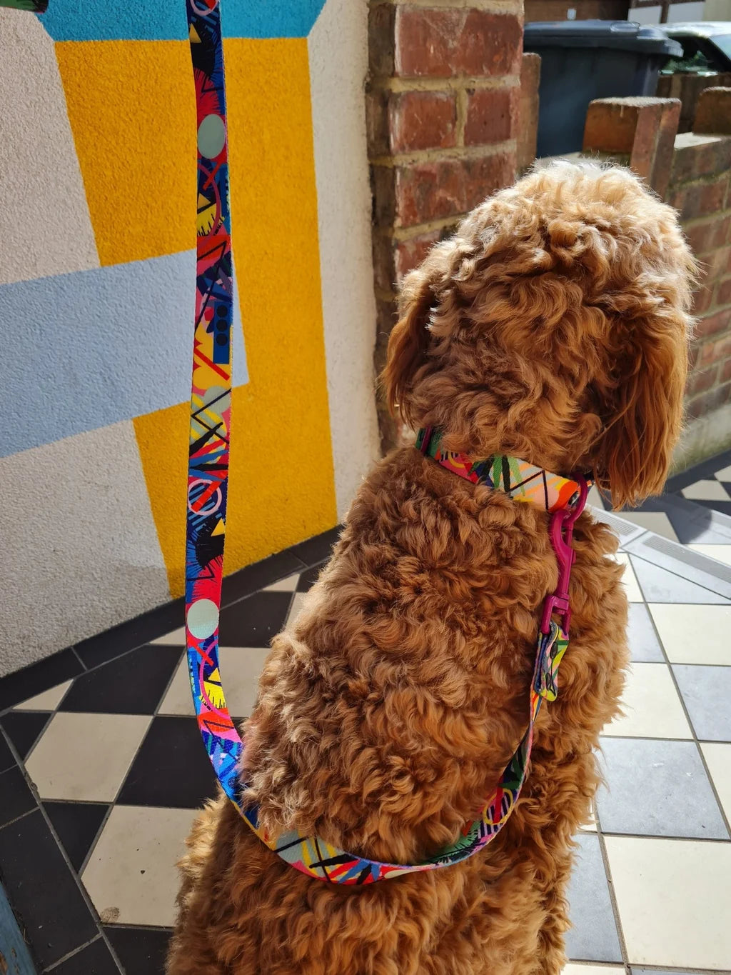 Kaleidogscope Dog Lead