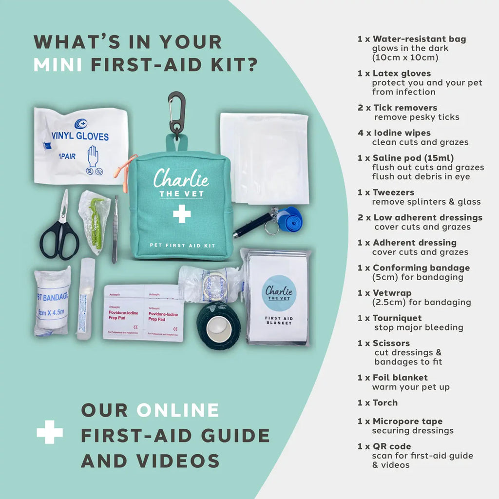 Pet First Aid Kit Mini