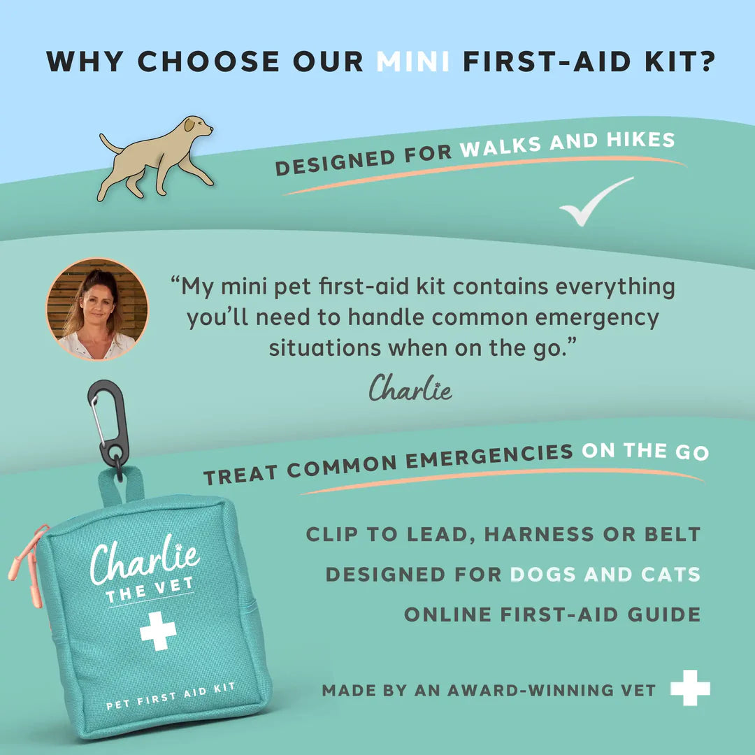 Pet First Aid Kit Mini