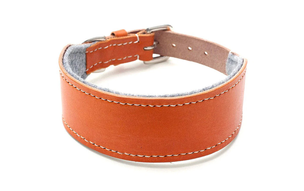 Oak Bark Tanned Leather Hound Collar