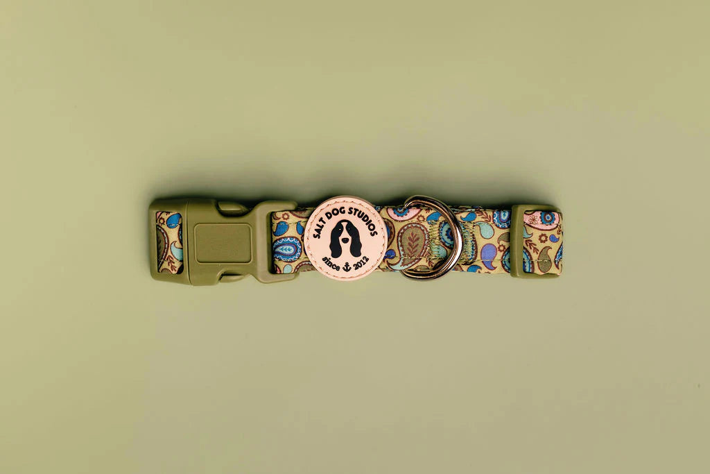 Paisley Dog Collar