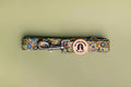 Paisley Dog Lead