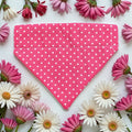 Bandana - Polka Dot Pink