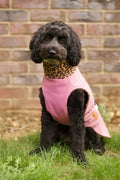 Rainfleece Waterproof Ultimate Walkies Coat - Dusty pink with leopard fleece