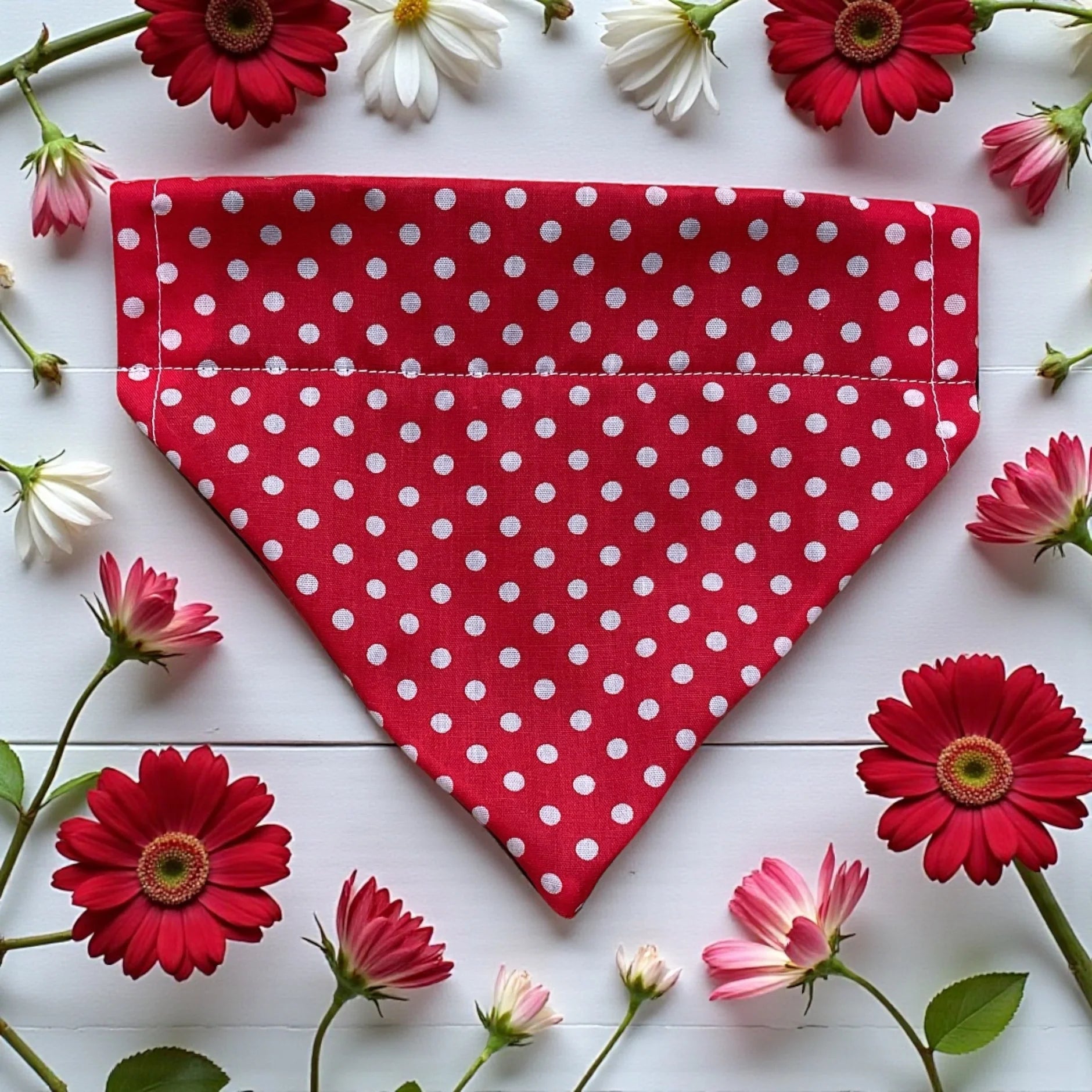 Bandana - Polka Dot Red