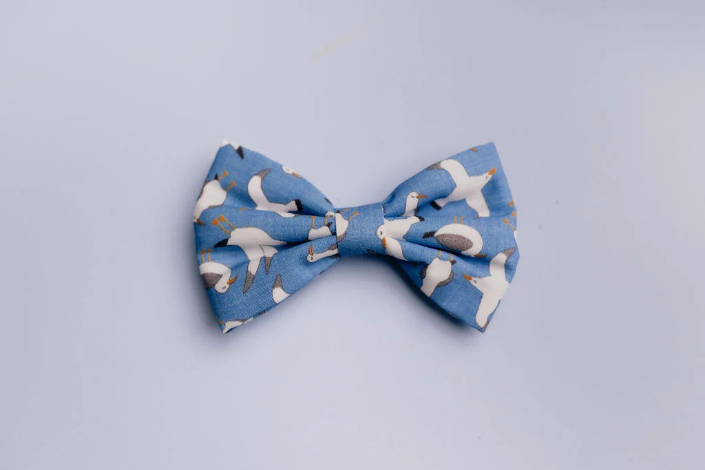 Seagull Dog Bow Tie