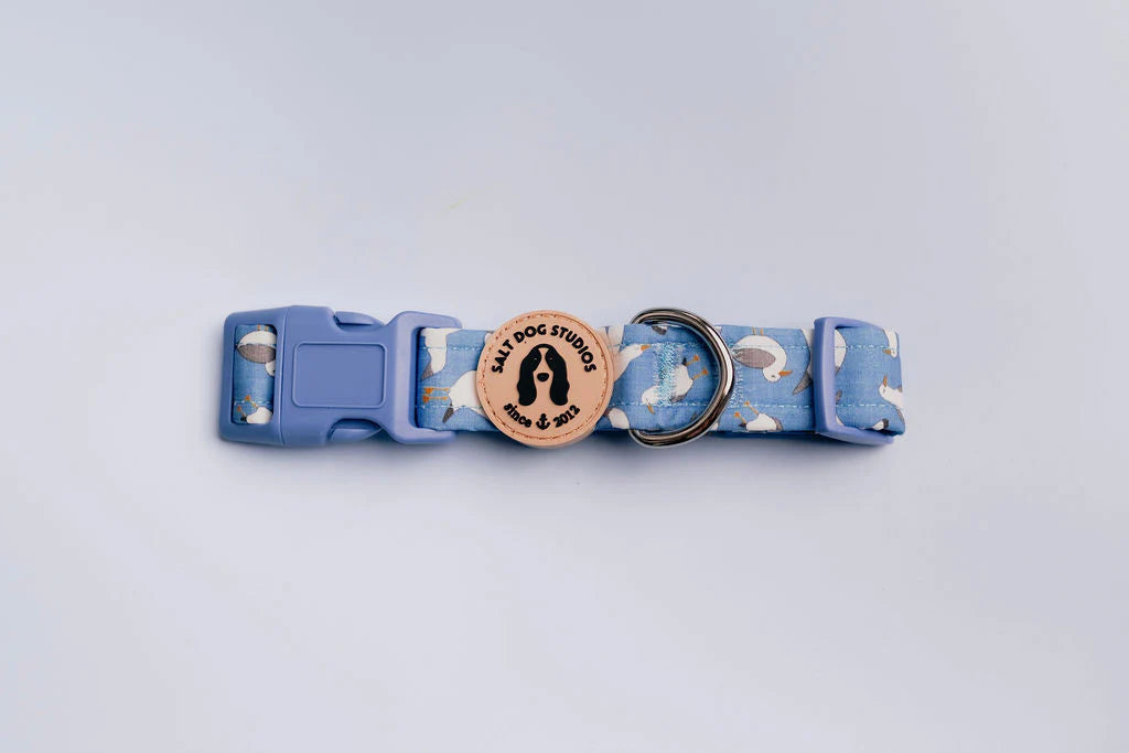 Seagulls Dog Collar