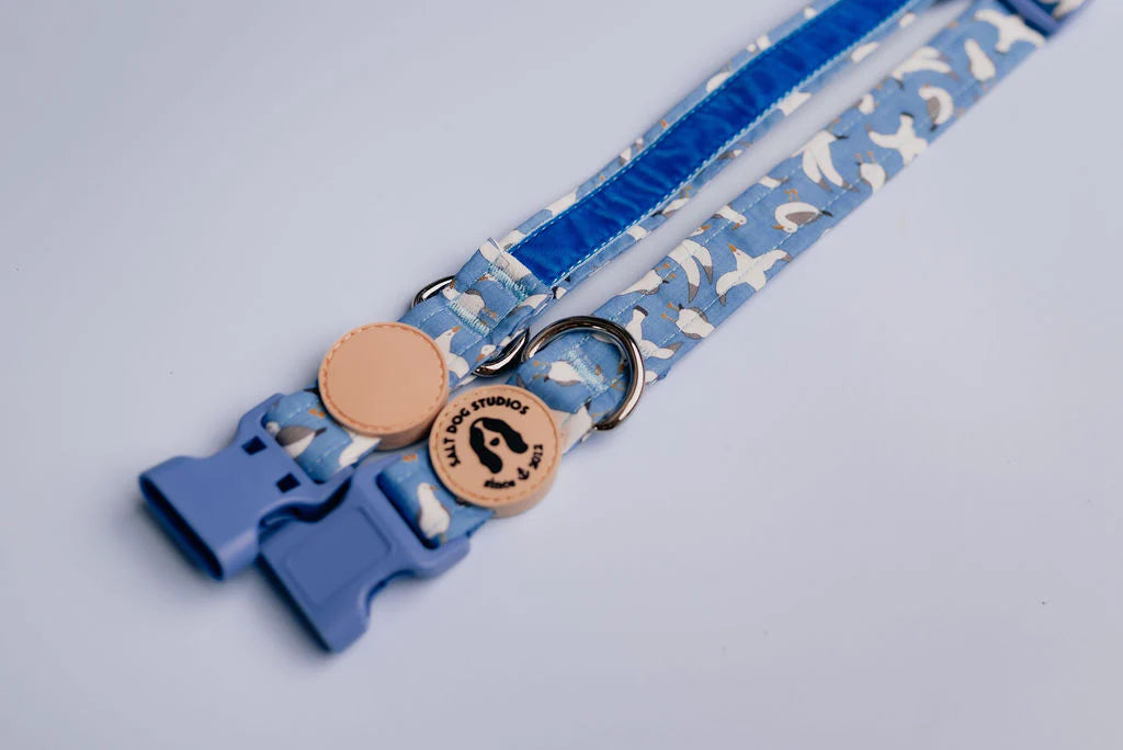 Seagulls Dog Collar