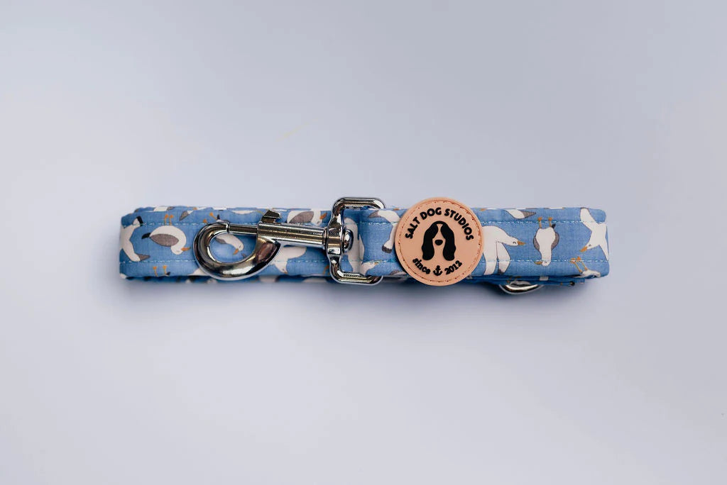 Seagulls Dog Lead